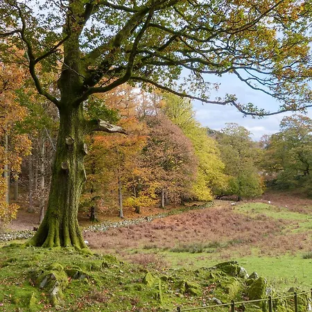 Rowan - Woodland Vakantiehuis *