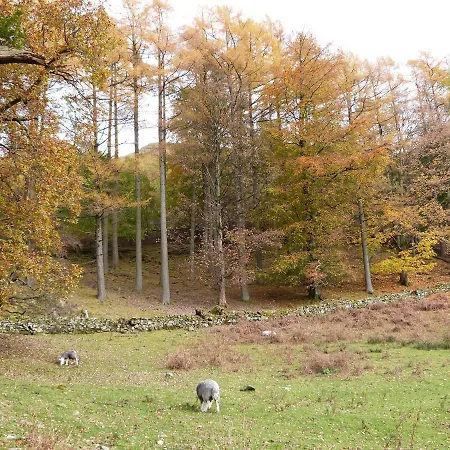 Holiday home Rowan - Woodland